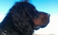 /album/fotogaleria/a476133-407943579216159-1595095961-o-jpg/